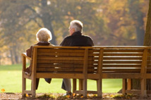 Elder Law Attorney 